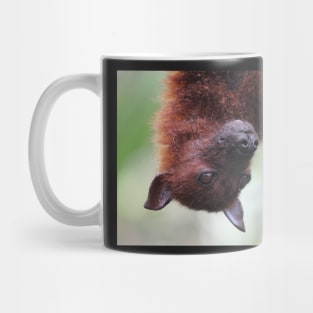 Fruit Bat Mug